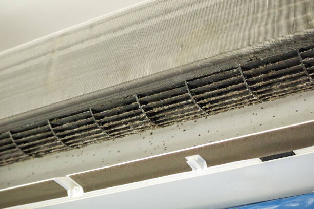 Best Duct Cleaning for Offices  in Madisonville, TN